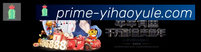 未来规划